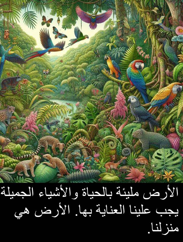 والأشياء: الأرض مليئة بالحياة والأشياء الجميلة، يجب علينا العناية بها. الأرض هي منزلنا.