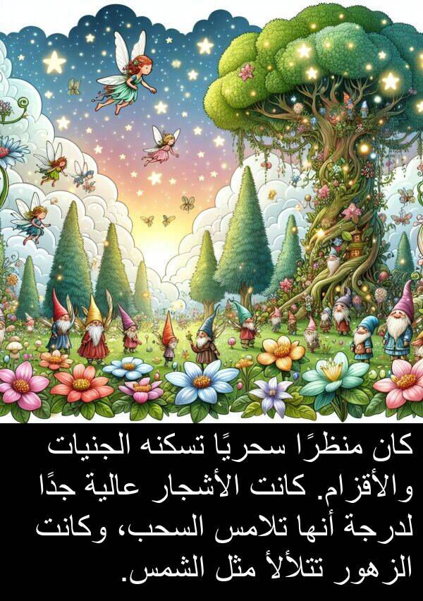 عالية: كان منظرًا سحريًا تسكنه الجنيات والأقزام. كانت الأشجار عالية جدًا لدرجة أنها تلامس السحب، وكانت الزهور تتلألأ مثل الشمس.