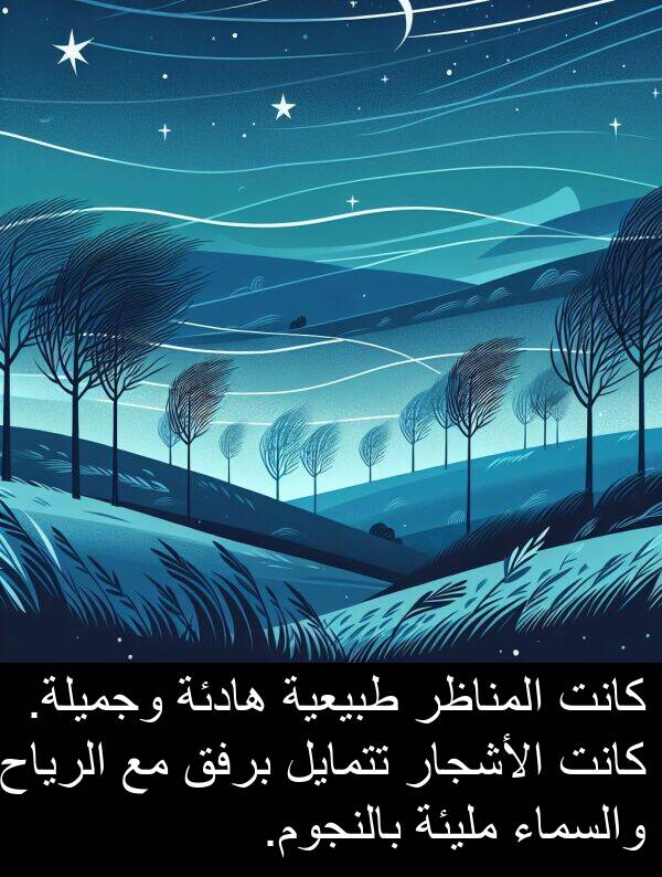 طبيعية: كانت المناظر طبيعية هادئة وجميلة. كانت الأشجار تتمايل برفق مع الرياح والسماء مليئة بالنجوم.