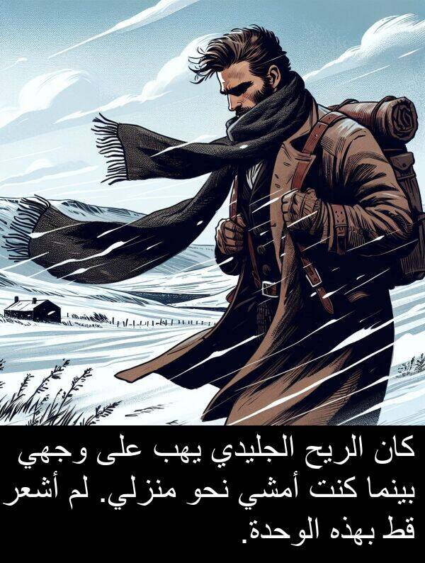 أشعر: كان الريح الجليدي يهب على وجهي بينما كنت أمشي نحو منزلي. لم أشعر قط بهذه الوحدة.
