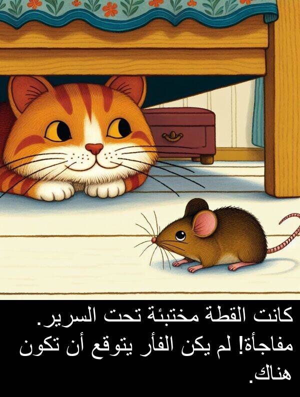 يتوقع: كانت القطة مختبئة تحت السرير. مفاجأة! لم يكن الفأر يتوقع أن تكون هناك.