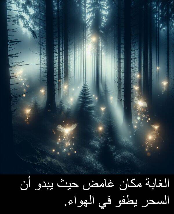 يبدو: الغابة مكان غامض حيث يبدو أن السحر يطفو في الهواء.