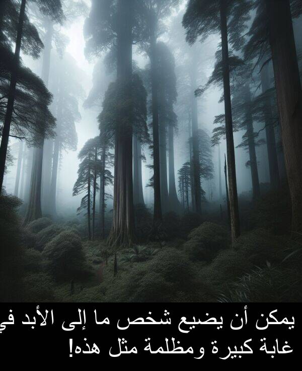 شخص: يمكن أن يضيع شخص ما إلى الأبد في غابة كبيرة ومظلمة مثل هذه!