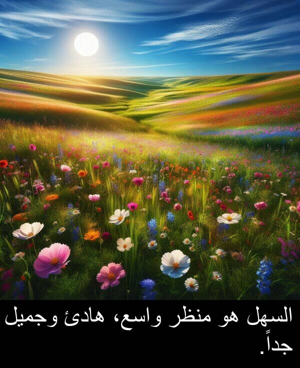 هادئ: السهل هو منظر واسع، هادئ وجميل جداً.