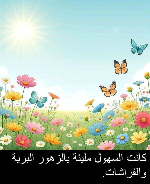 بالزهور: كانت السهول مليئة بالزهور البرية والفراشات.