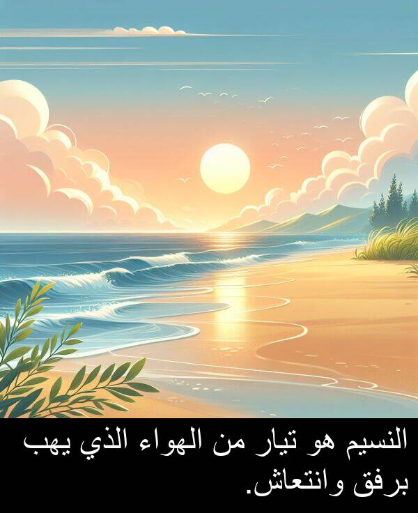 الذي: النسيم هو تيار من الهواء الذي يهب برفق وانتعاش.