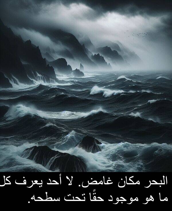 أحد: البحر مكان غامض. لا أحد يعرف كل ما هو موجود حقًا تحت سطحه.