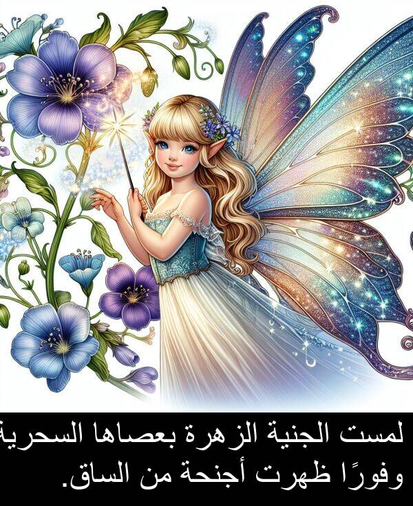 أجنحة: لمست الجنية الزهرة بعصاها السحرية وفورًا ظهرت أجنحة من الساق.