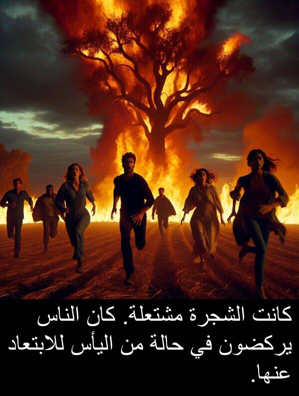 يركضون: كانت الشجرة مشتعلة. كان الناس يركضون في حالة من اليأس للابتعاد عنها.
