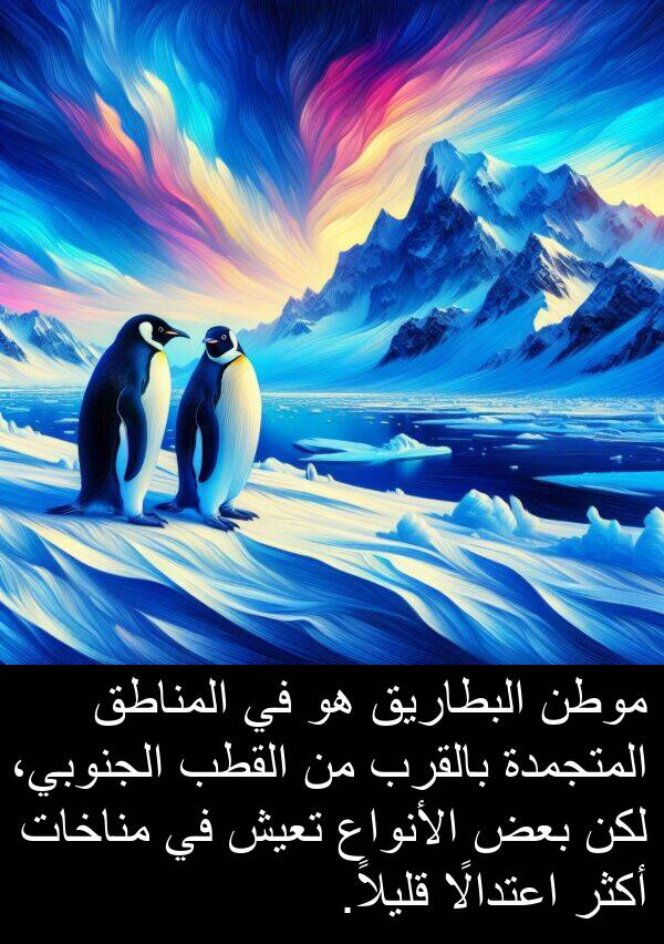قليلاً: موطن البطاريق هو في المناطق المتجمدة بالقرب من القطب الجنوبي، لكن بعض الأنواع تعيش في مناخات أكثر اعتدالًا قليلاً.
