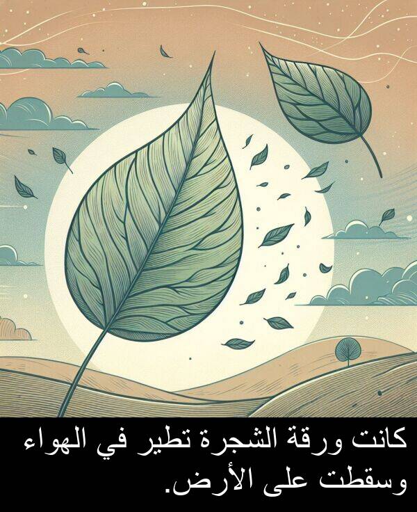 الشجرة: كانت ورقة الشجرة تطير في الهواء وسقطت على الأرض.