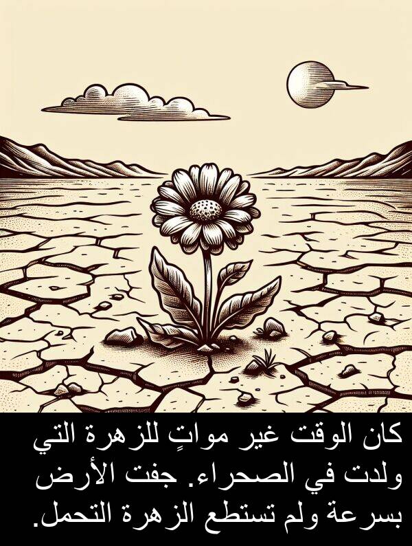 جفت: كان الوقت غير مواتٍ للزهرة التي ولدت في الصحراء. جفت الأرض بسرعة ولم تستطع الزهرة التحمل.