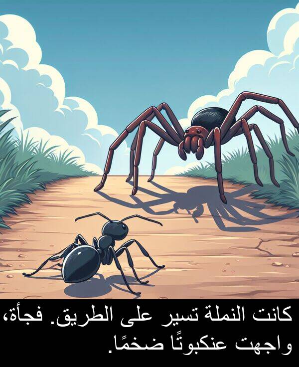 عنكبوتًا: كانت النملة تسير على الطريق. فجأة، واجهت عنكبوتًا ضخمًا.