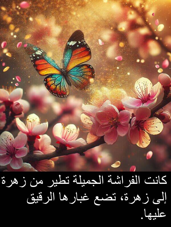 زهرة: كانت الفراشة الجميلة تطير من زهرة إلى زهرة، تضع غبارها الرقيق عليها.