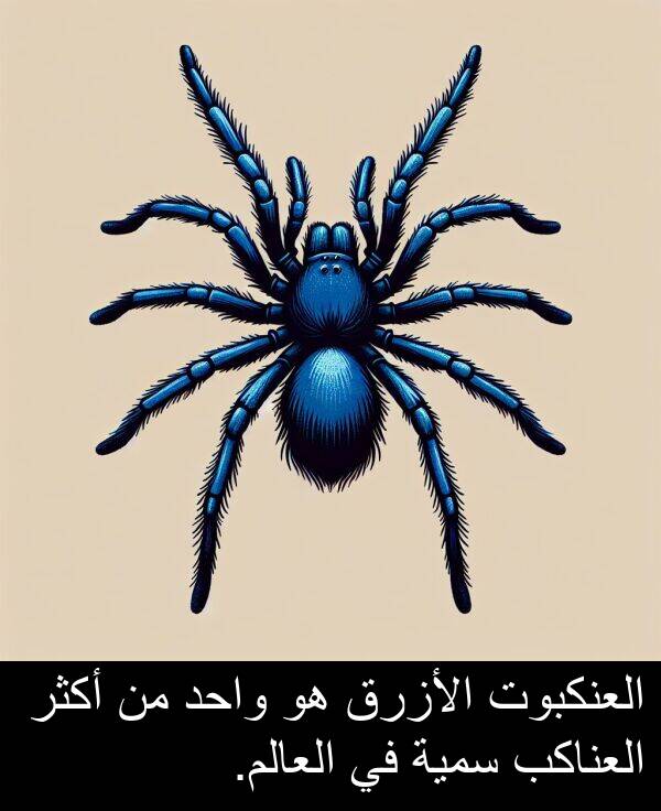 سمية: العنكبوت الأزرق هو واحد من أكثر العناكب سمية في العالم.