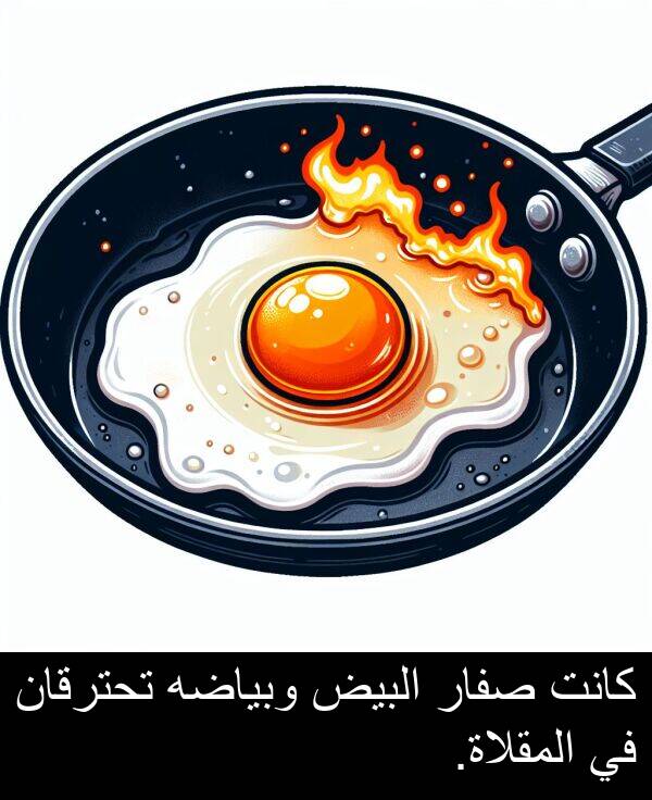صفار: كانت صفار البيض وبياضه تحترقان في المقلاة.