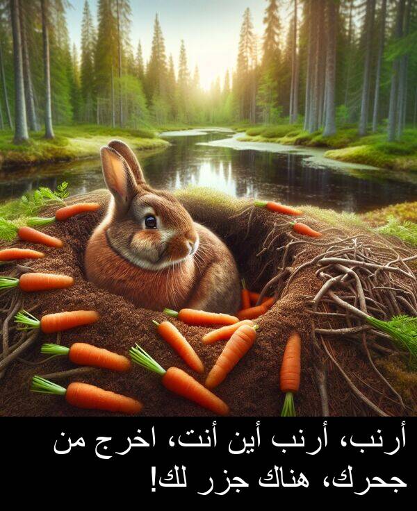 أرنب: أرنب، أرنب أين أنت، اخرج من جحرك، هناك جزر لك!