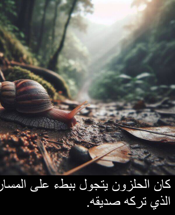 صديقه: كان الحلزون يتجول ببطء على المسار الذي تركه صديقه.