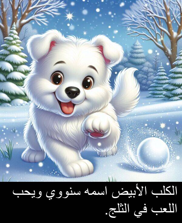 سنووي: الكلب الأبيض اسمه سنووي ويحب اللعب في الثلج.