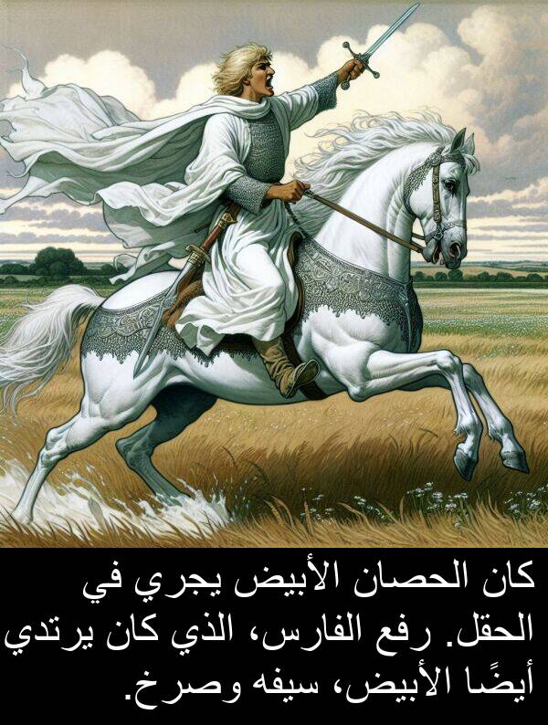 رفع: كان الحصان الأبيض يجري في الحقل. رفع الفارس، الذي كان يرتدي أيضًا الأبيض، سيفه وصرخ.