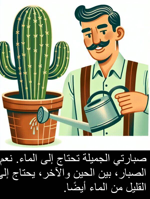 صبارتي: صبارتي الجميلة تحتاج إلى الماء. نعم! الصبار، بين الحين والآخر، يحتاج إلى القليل من الماء أيضًا.