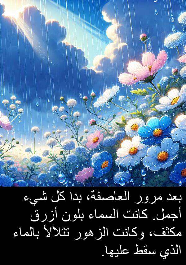 أجمل: بعد مرور العاصفة، بدا كل شيء أجمل. كانت السماء بلون أزرق مكثف، وكانت الزهور تتلألأ بالماء الذي سقط عليها.