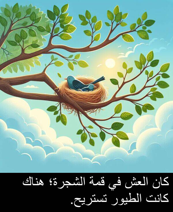 هناك: كان العش في قمة الشجرة؛ هناك كانت الطيور تستريح.