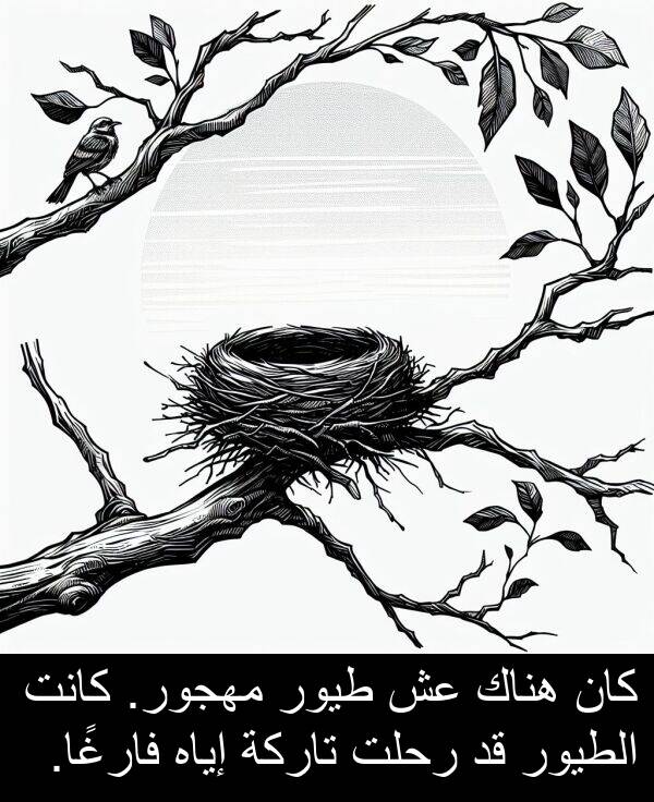 رحلت: كان هناك عش طيور مهجور. كانت الطيور قد رحلت تاركة إياه فارغًا.
