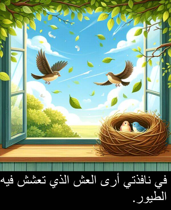 أرى: في نافذتي أرى العش الذي تعشش فيه الطيور.