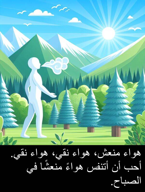 هواء: هواء منعش، هواء نقي، هواء نقي. أحب أن أتنفس هواءً منعشًا في الصباح.