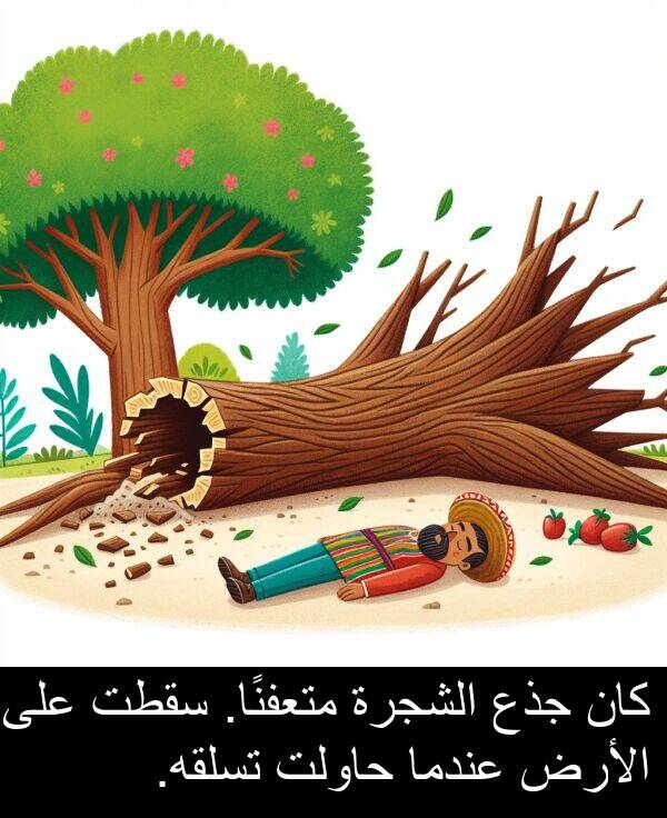 جذع: كان جذع الشجرة متعفنًا. سقطت على الأرض عندما حاولت تسلقه.