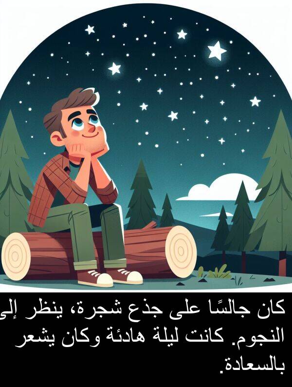 شجرة،: كان جالسًا على جذع شجرة، ينظر إلى النجوم. كانت ليلة هادئة وكان يشعر بالسعادة.