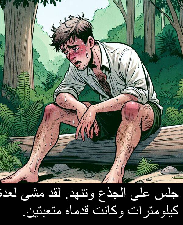 كيلومترات: جلس على الجذع وتنهد. لقد مشى لعدة كيلومترات وكانت قدماه متعبتين.