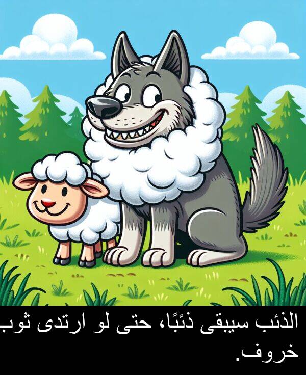 خروف: الذئب سيبقى ذئبًا، حتى لو ارتدى ثوب خروف.