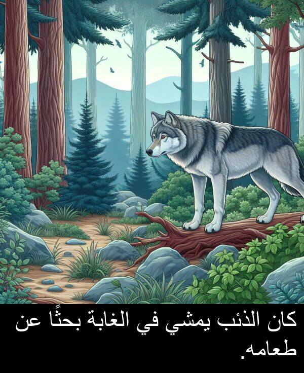 طعامه: كان الذئب يمشي في الغابة بحثًا عن طعامه.