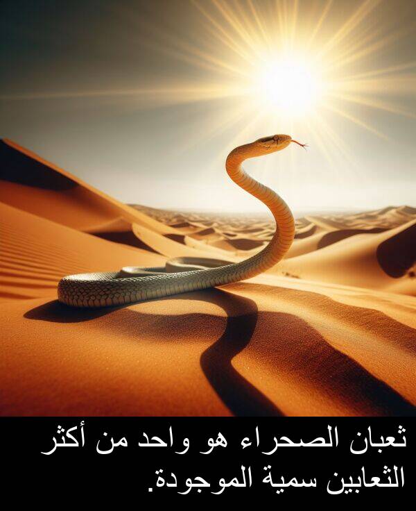 سمية: ثعبان الصحراء هو واحد من أكثر الثعابين سمية الموجودة.