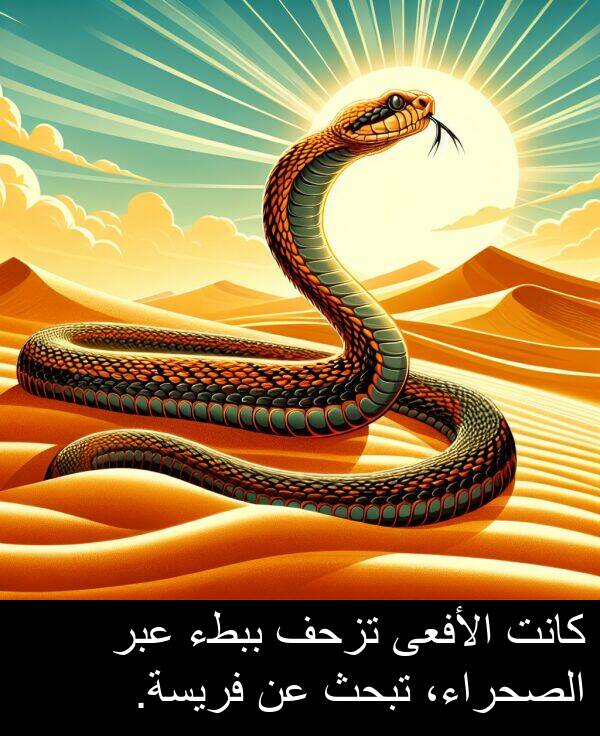 عبر: كانت الأفعى تزحف ببطء عبر الصحراء، تبحث عن فريسة.