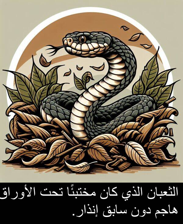 دون: الثعبان الذي كان مختبئًا تحت الأوراق هاجم دون سابق إنذار.