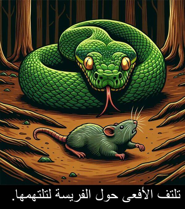 لتلتهمها: تلتف الأفعى حول الفريسة لتلتهمها.