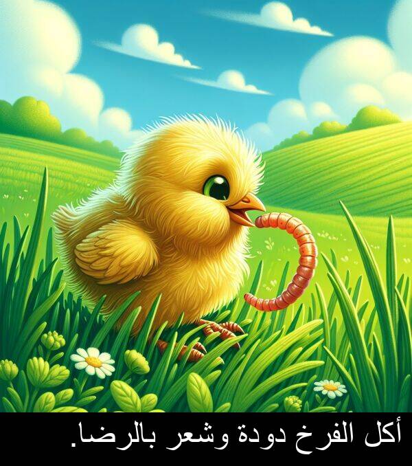 دودة: أكل الفرخ دودة وشعر بالرضا.