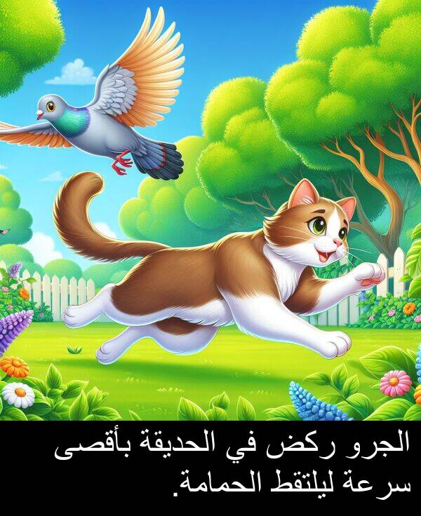 ركض: الجرو ركض في الحديقة بأقصى سرعة ليلتقط الحمامة.