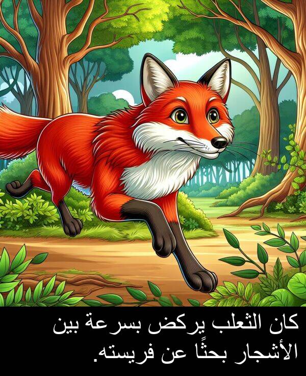 الثعلب: كان الثعلب يركض بسرعة بين الأشجار بحثًا عن فريسته.
