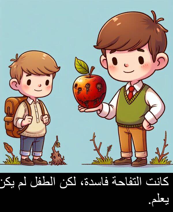 التفاحة: كانت التفاحة فاسدة، لكن الطفل لم يكن يعلم.