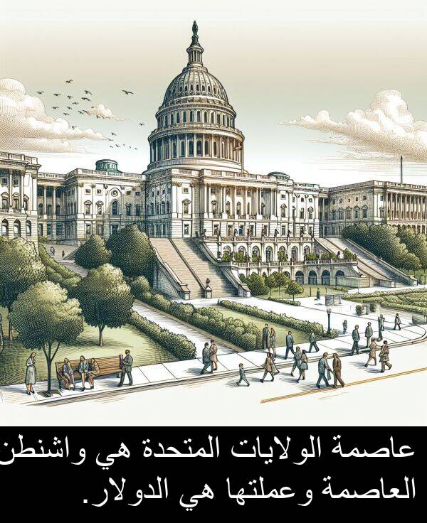 واشنطن: عاصمة الولايات المتحدة هي واشنطن العاصمة وعملتها هي الدولار.