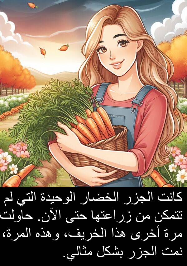الآن: كانت الجزر الخضار الوحيدة التي لم تتمكن من زراعتها حتى الآن. حاولت مرة أخرى هذا الخريف، وهذه المرة، نمت الجزر بشكل مثالي.