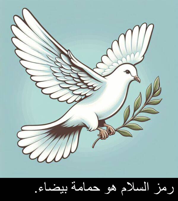 رمز: رمز السلام هو حمامة بيضاء.