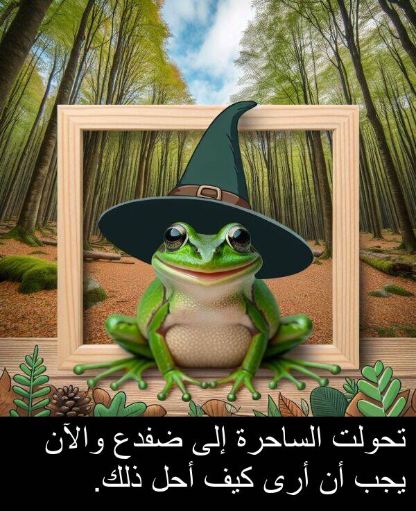 كيف: تحولت الساحرة إلى ضفدع والآن يجب أن أرى كيف أحل ذلك.