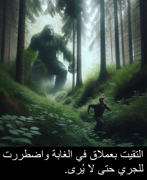واضطررت: التقيت بعملاق في الغابة واضطررت للجري حتى لا يُرى.