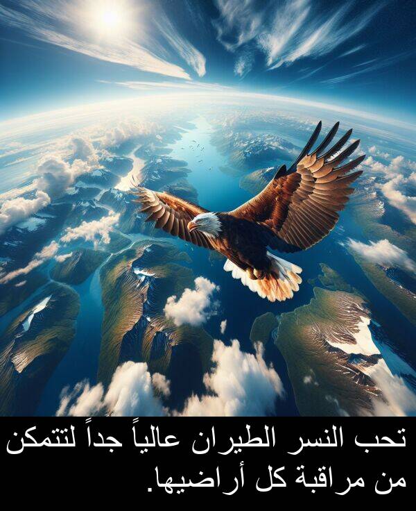 أراضيها: تحب النسر الطيران عالياً جداً لتتمكن من مراقبة كل أراضيها.