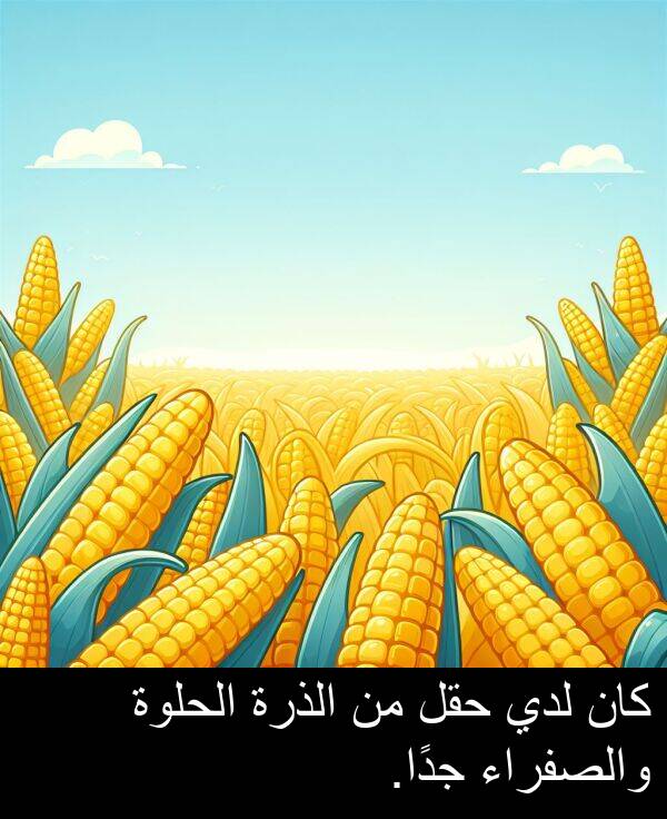 لدي: كان لدي حقل من الذرة الحلوة والصفراء جدًا.